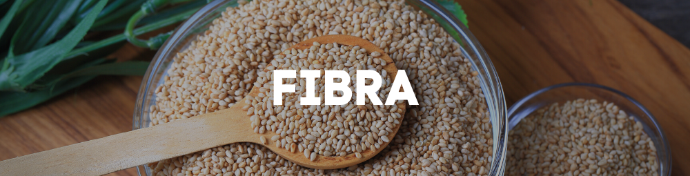 Fibra